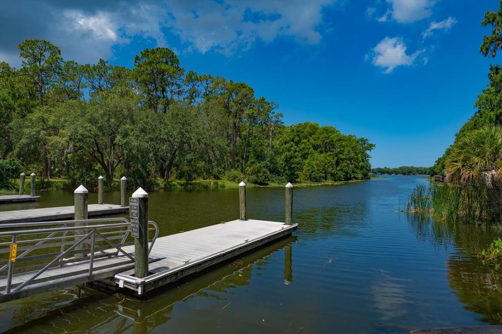 2211 Portside Passage Palm Harbor, FL 34685 - Photo 55 of 55