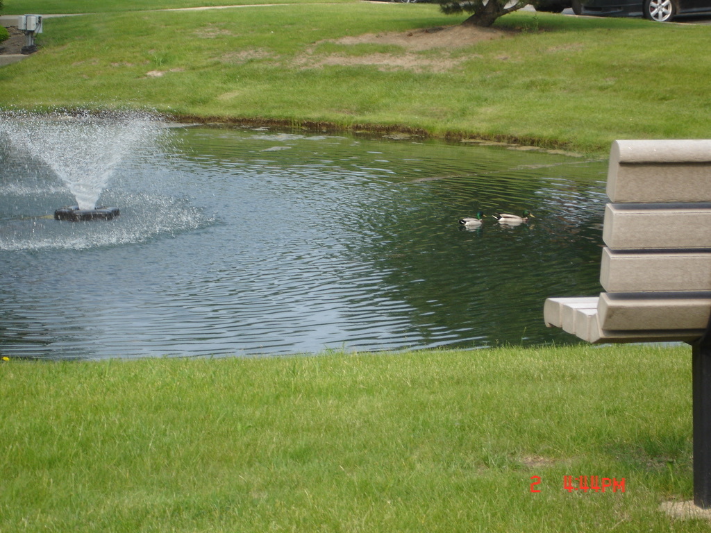 708 Briar Hill Lane, Unit 2 Addison, IL 60101 - Photo 11 of 16