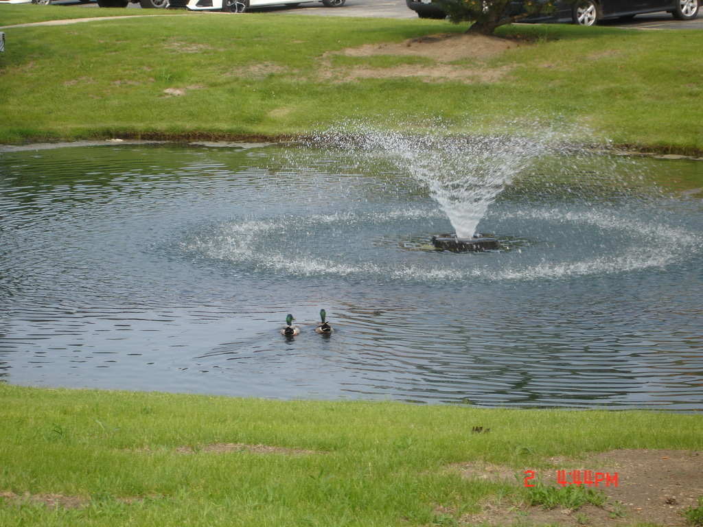 708 Briar Hill Lane, Unit 2 Addison, IL 60101 - Photo 10 of 16