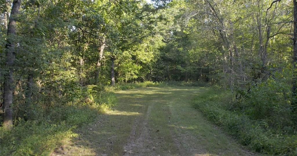 0 Ritchie Lane Edwards, MO 65326 - Photo 6 of 12 Gallery Image 6