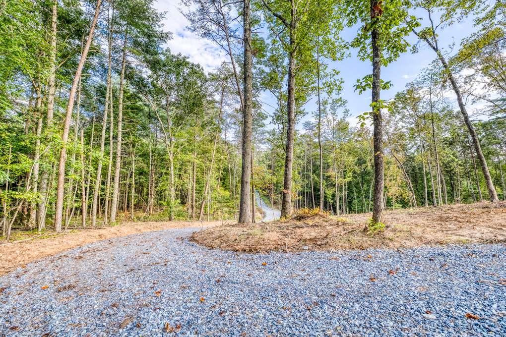 5664 Mobile Road Blue Ridge, GA 30513 - Photo 57 of 66
