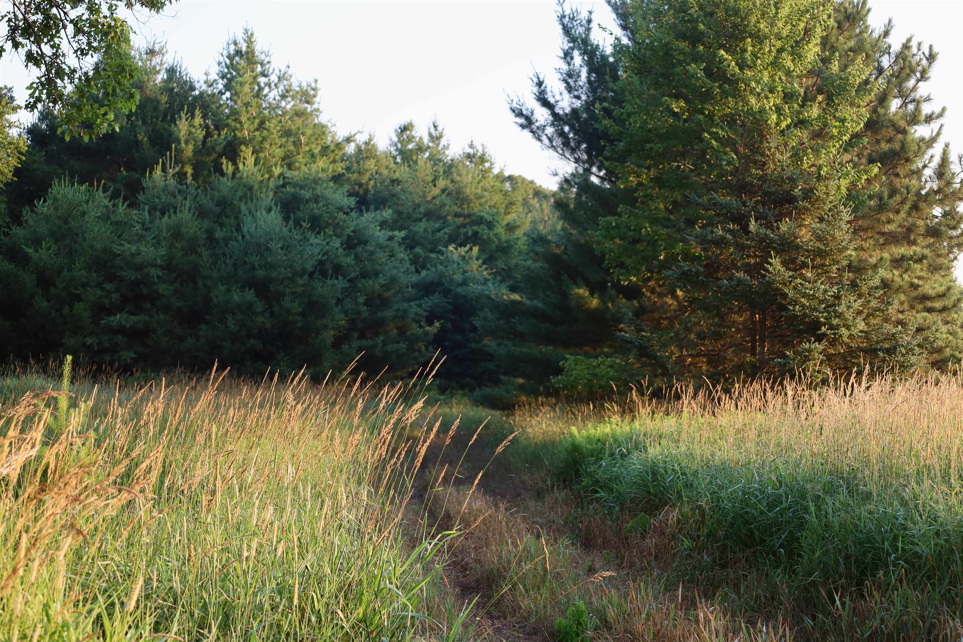 0 17th Montello, WI 53949 - Photo 18 of 30