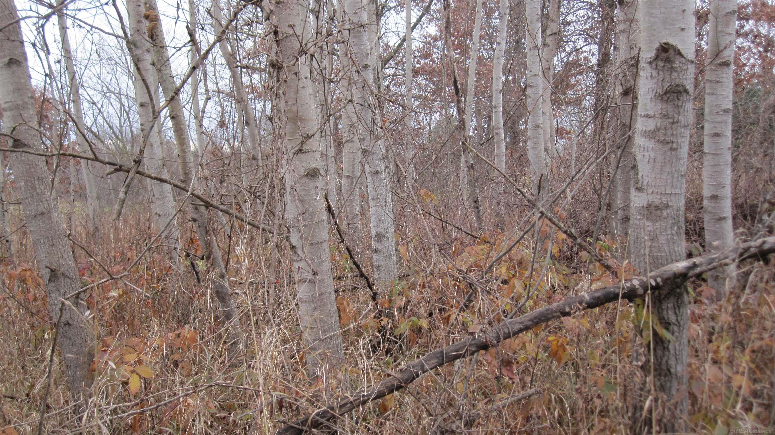 0 Oak Grove Road North Branch, MI 48461 - Photo 9 of 16
