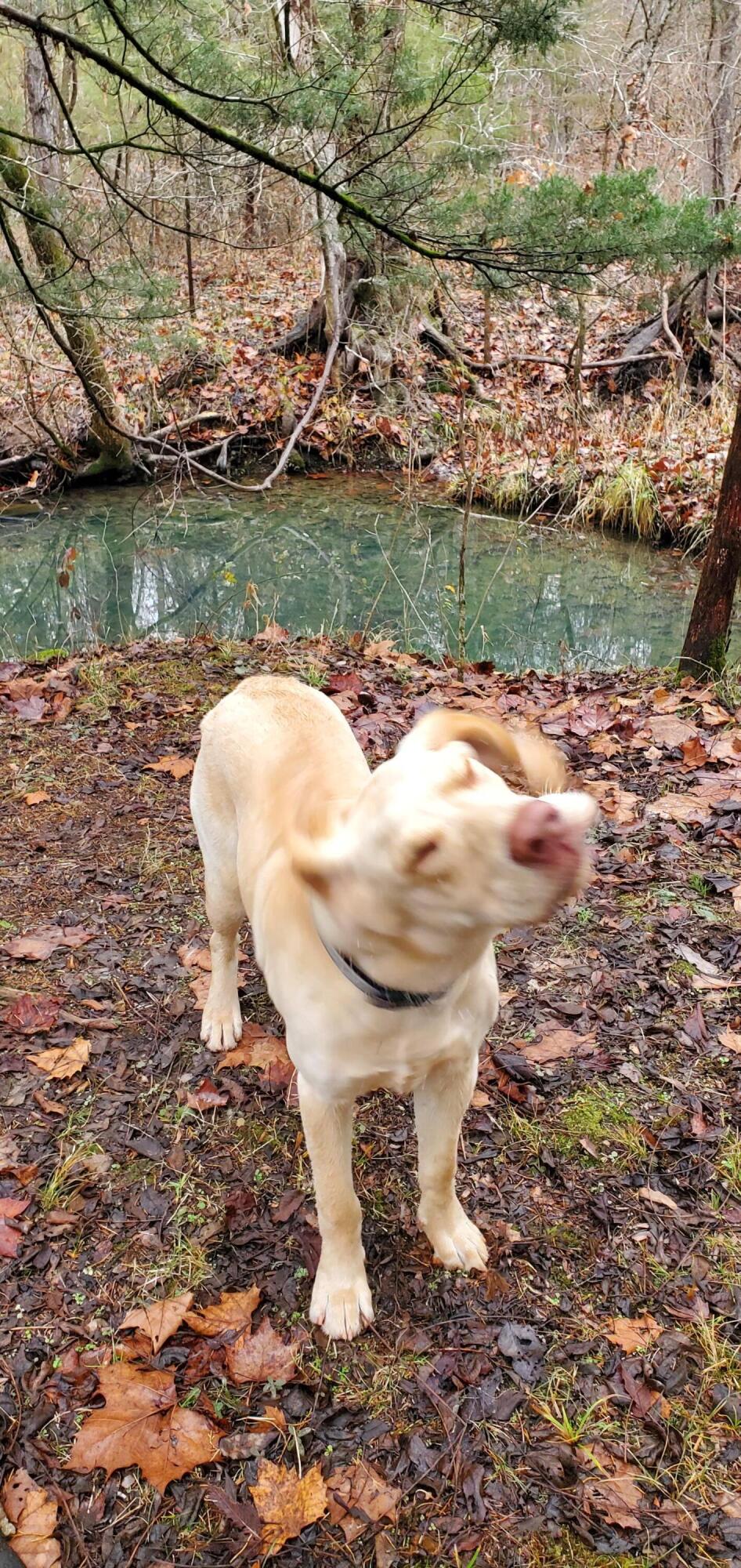 4775 South 50th Road Aldrich, MO 65601 - Photo 245 of 306 20231225_104951