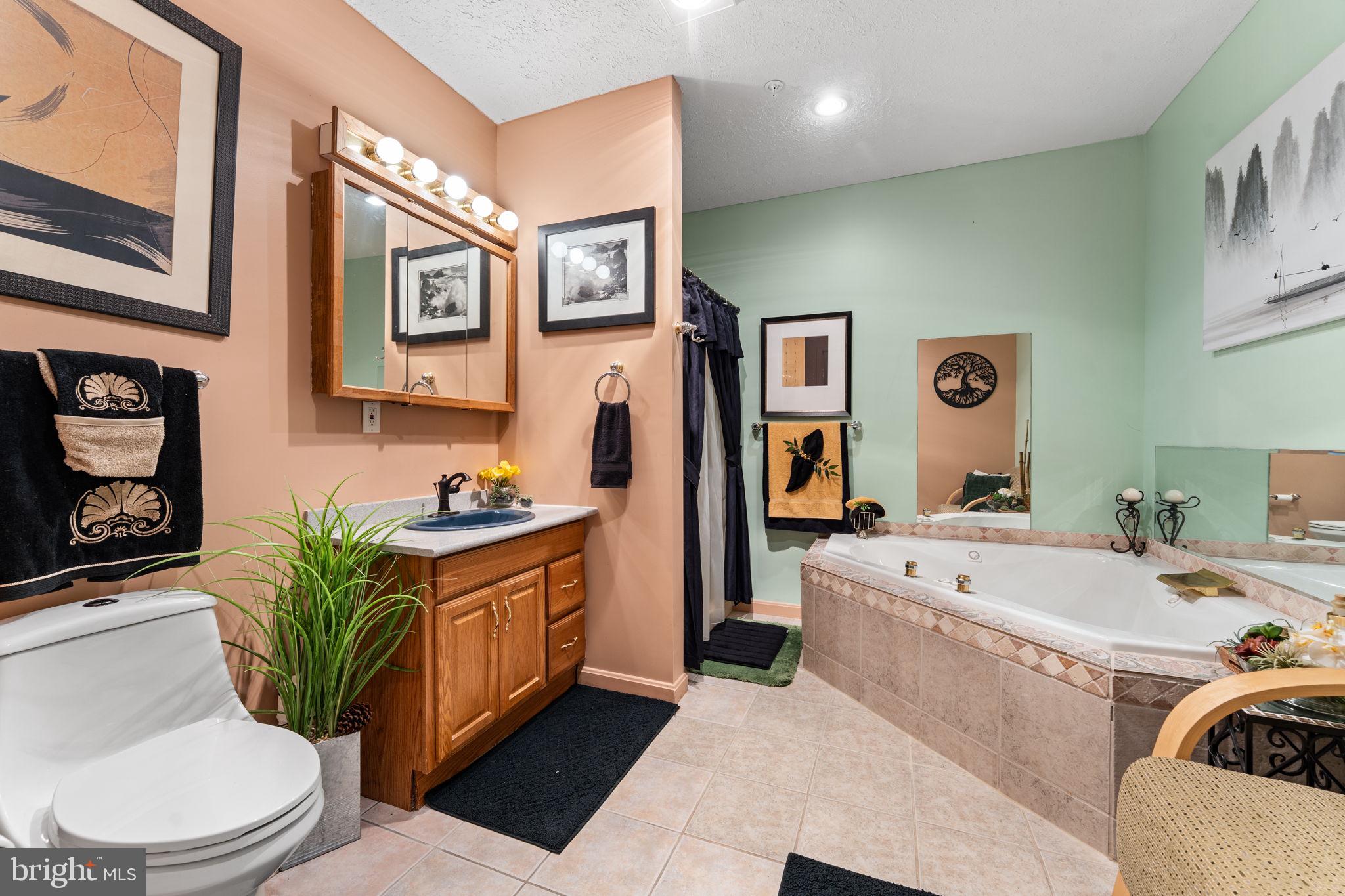 10613 Frank Tippett Road Cheltenham, MD 20623 - Photo 40 of 62 a bathroom with a sink a mirror and a toilet