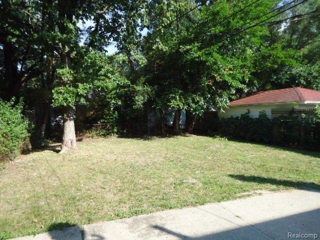 17614 Sunderland Road Detroit, MI 48219 - Photo 3 of 11 264-068289- Yard.JPG