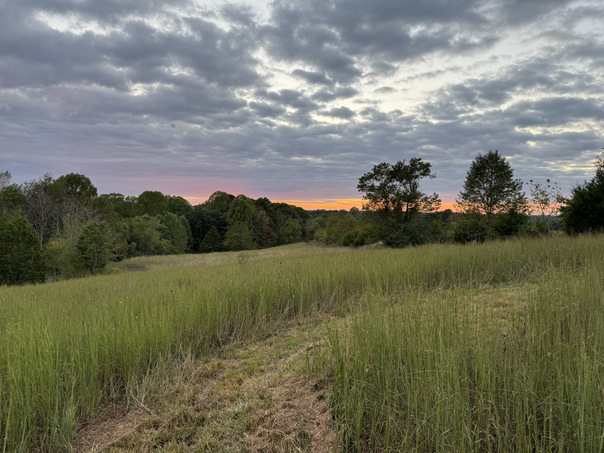 1137 Poplar Grove Road Westmoreland, TN 37186 - Photo 11 of 38 a view of a lake with a yard