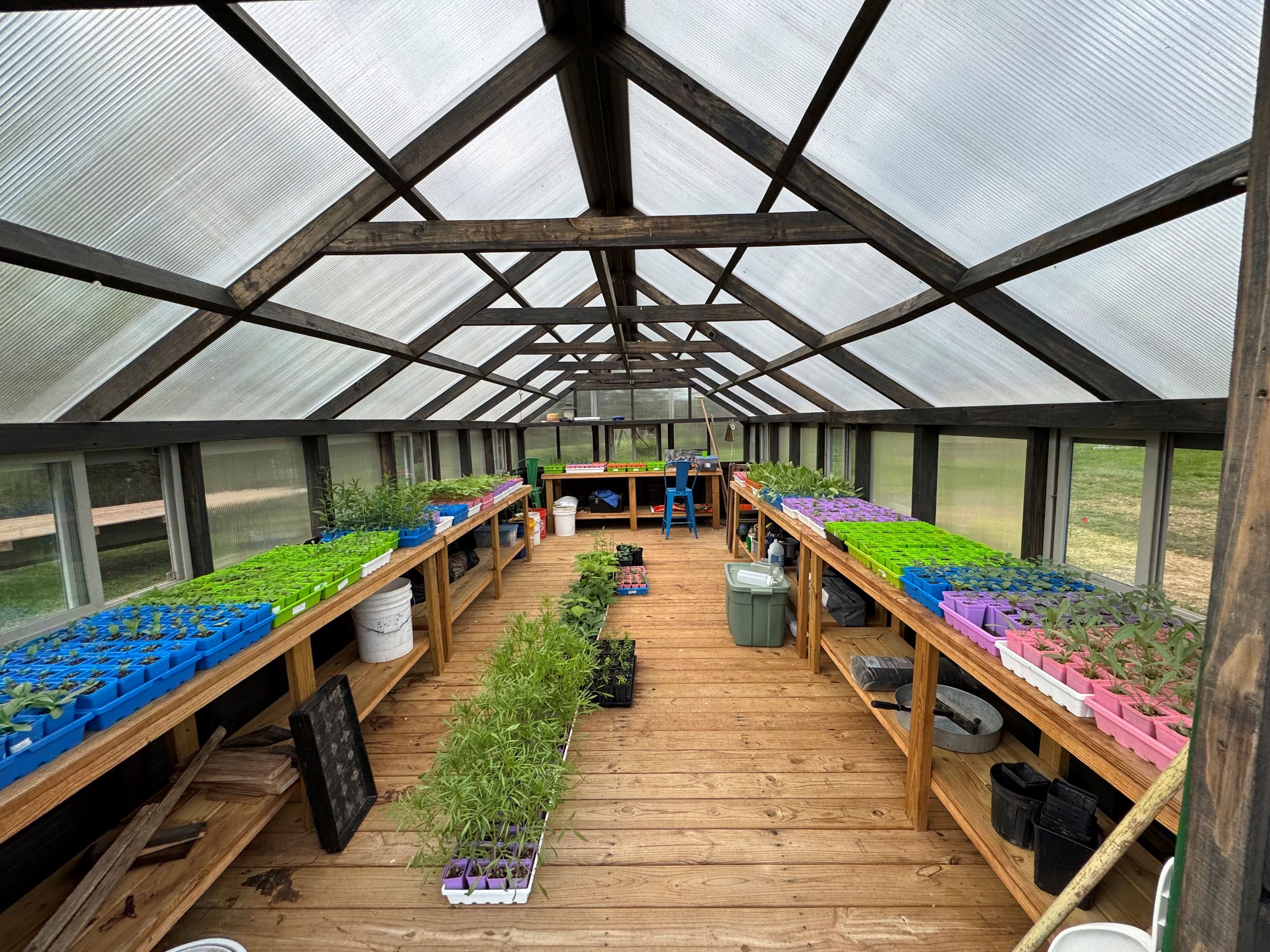 1137 Poplar Grove Road Westmoreland, TN 37186 - Photo 13 of 38