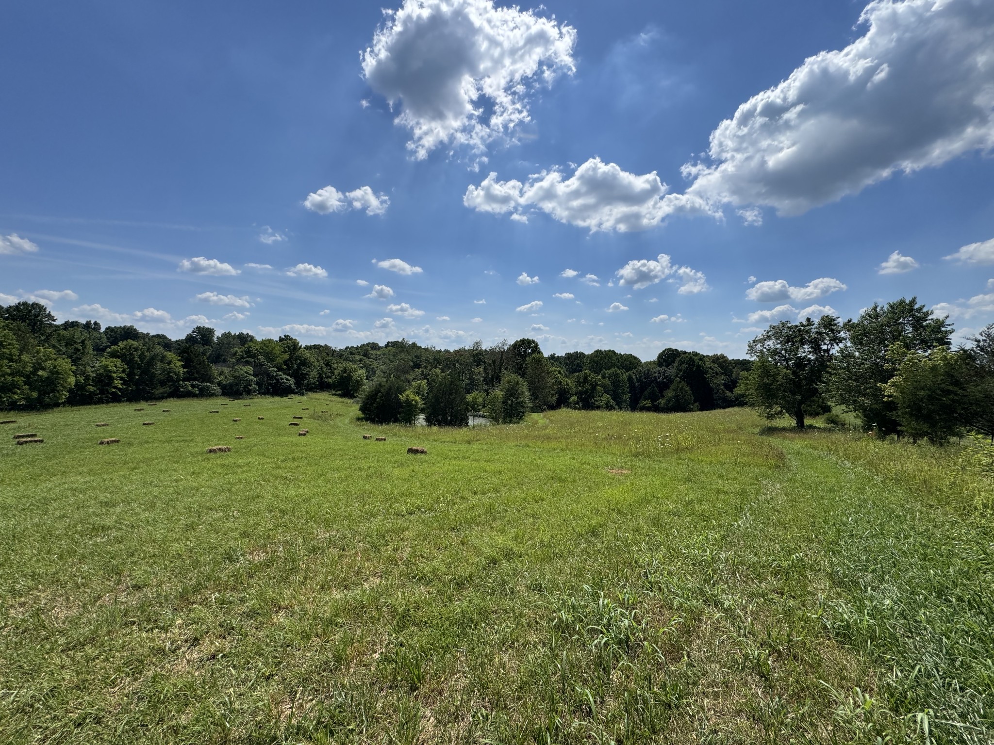 1137 Poplar Grove Road Westmoreland, TN 37186 - Photo 14 of 38 a view of an outdoor space and yard