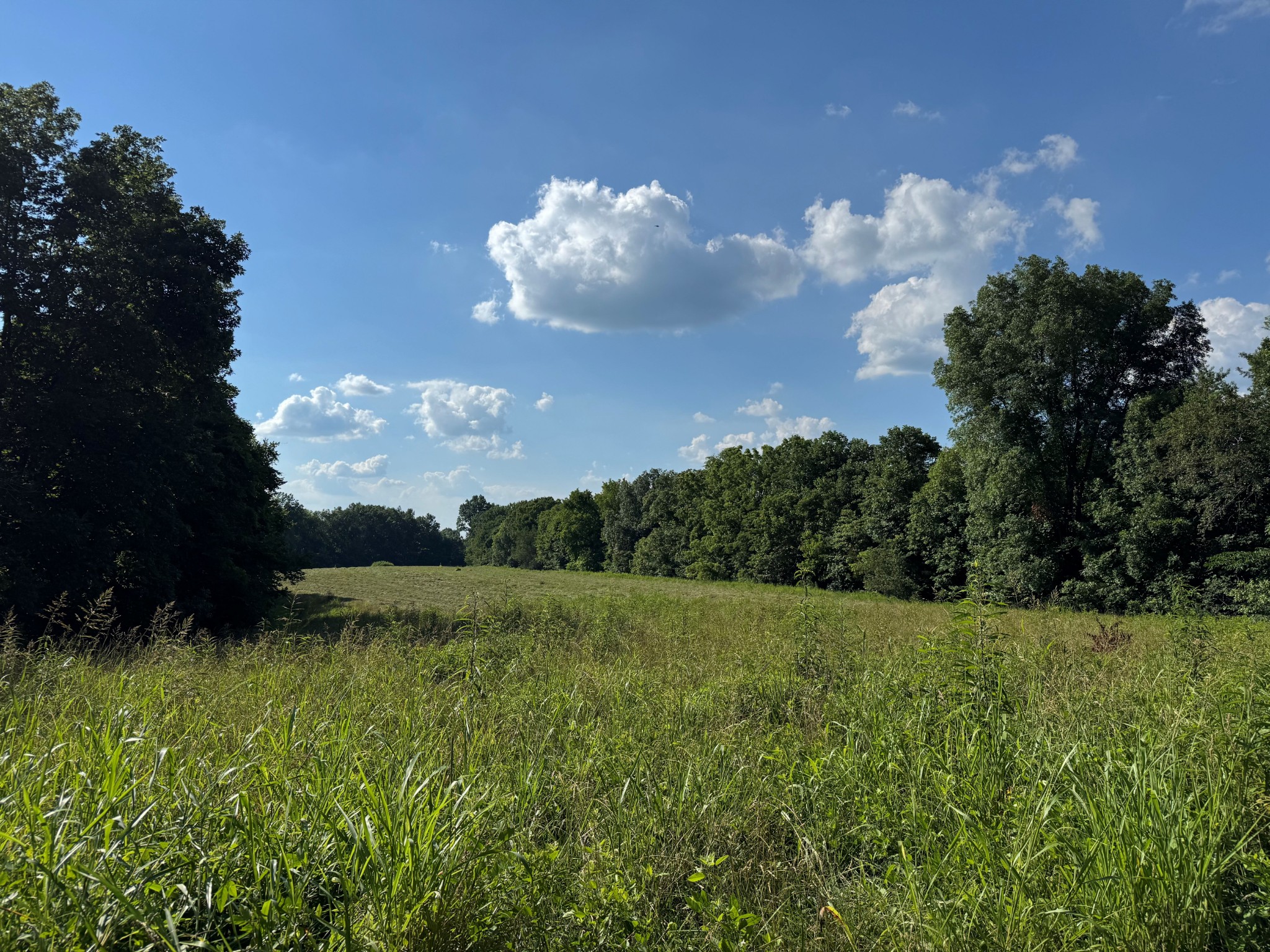 1137 Poplar Grove Road Westmoreland, TN 37186 - Photo 15 of 38 a view of a big yard