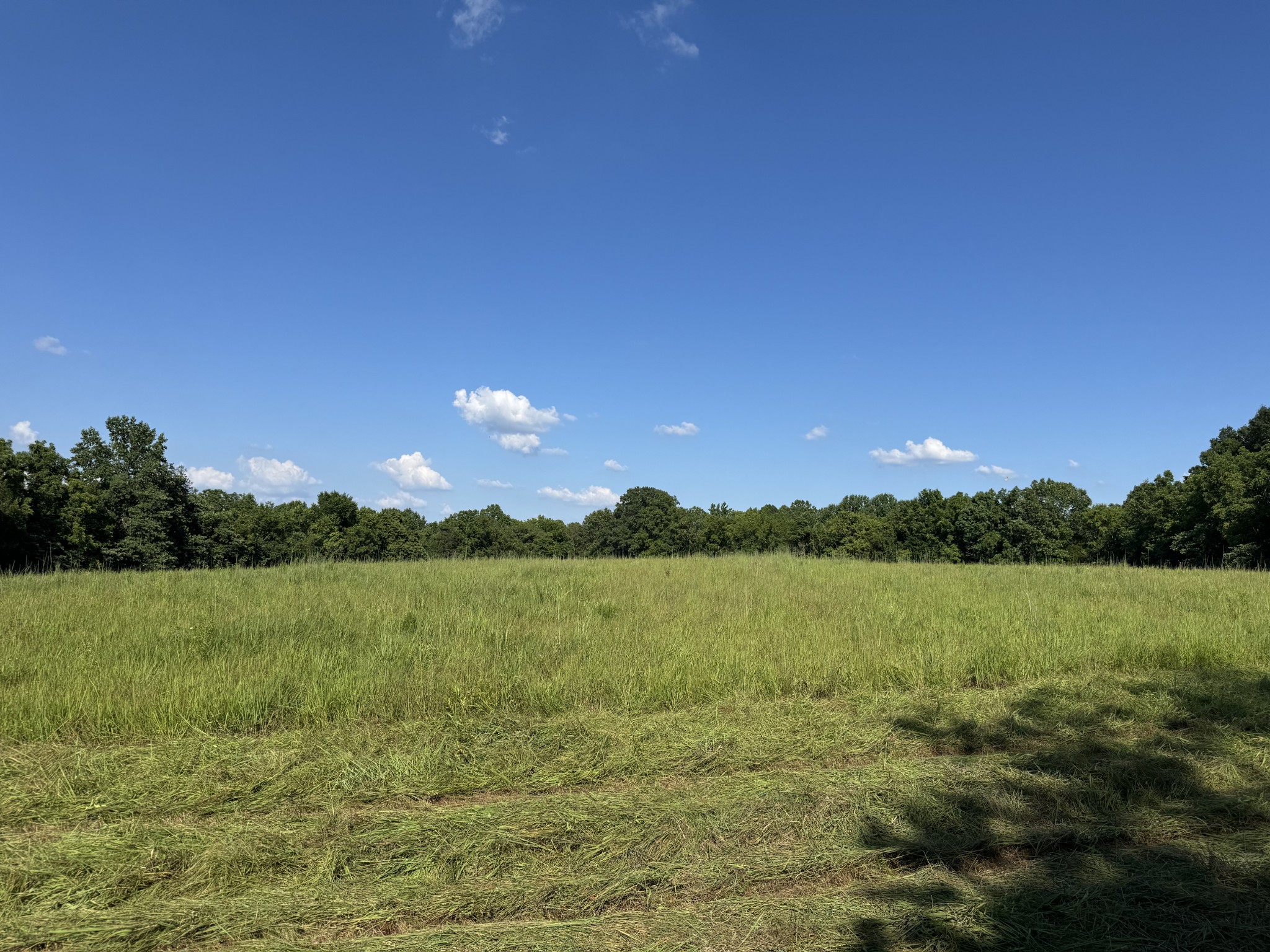 1137 Poplar Grove Road Westmoreland, TN 37186 - Photo 16 of 38 a view of lake and mountain view