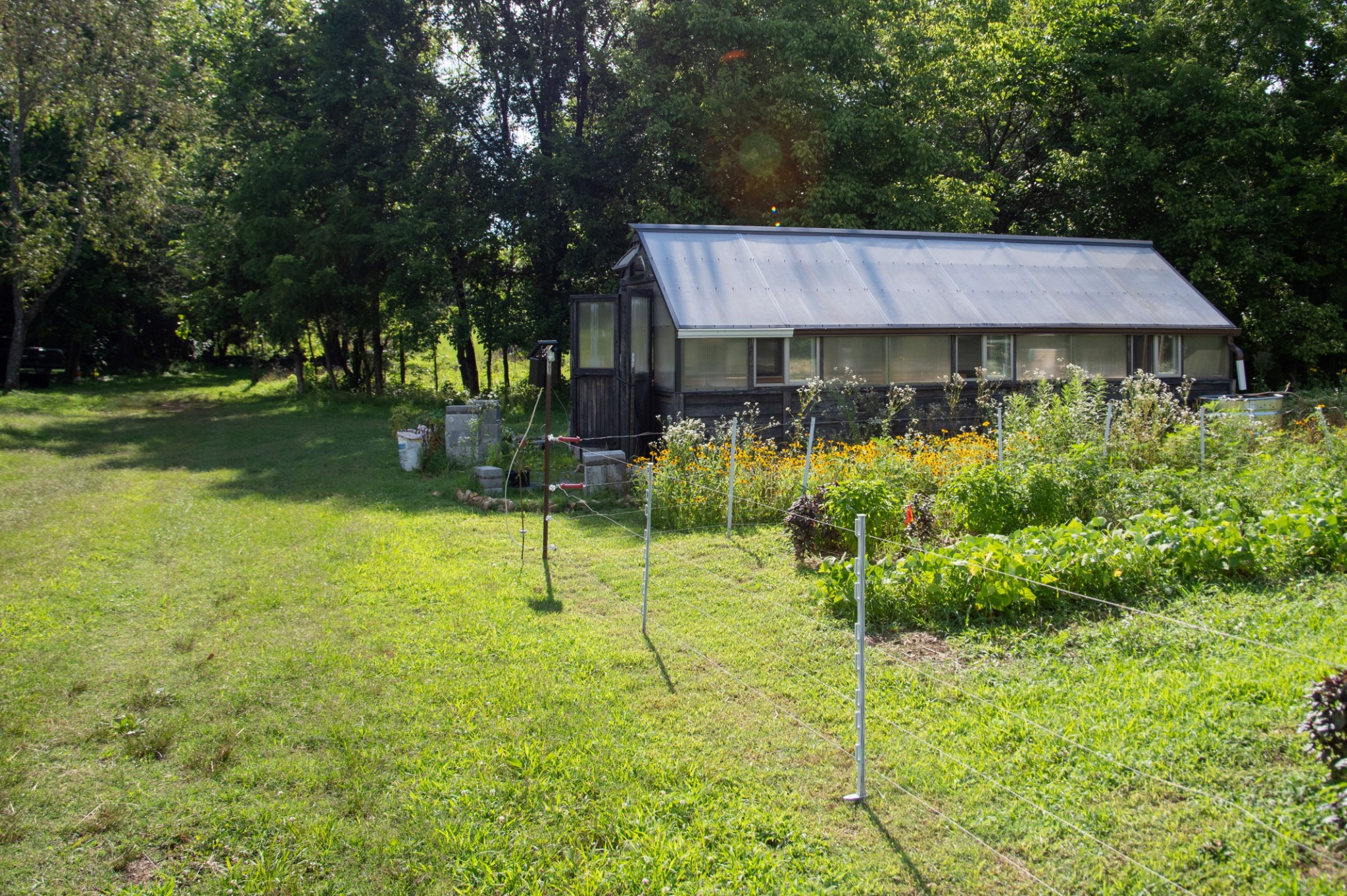 1137 Poplar Grove Road Westmoreland, TN 37186 - Photo 18 of 38 a backyard of a house with yard and outdoor seating