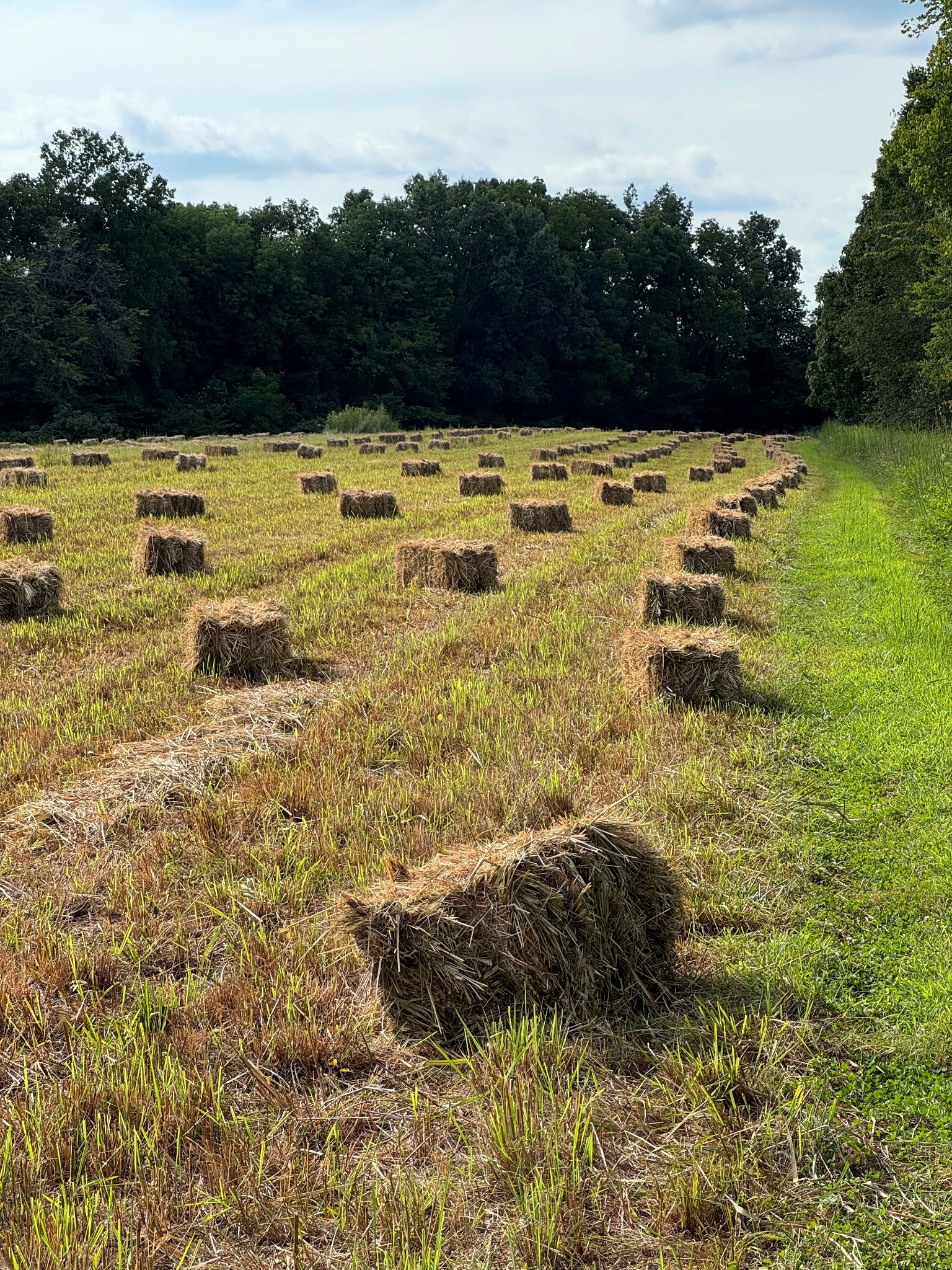 1137 Poplar Grove Road Westmoreland, TN 37186 - Photo 2 of 38 a view of ocean view