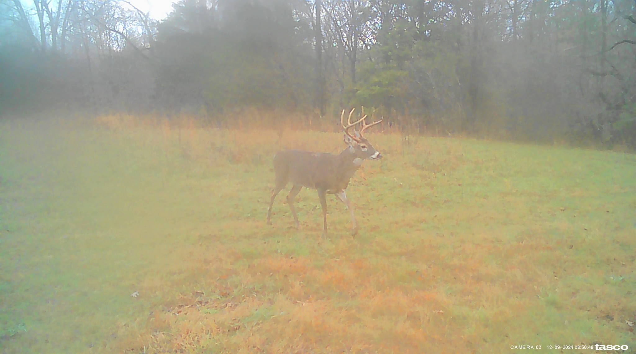 1137 Poplar Grove Road Westmoreland, TN 37186 - Photo 23 of 38 a bathroom with a shower