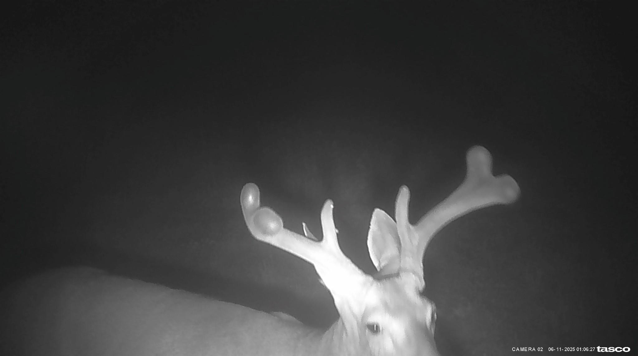 1137 Poplar Grove Road Westmoreland, TN 37186 - Photo 27 of 38 a close view of tap