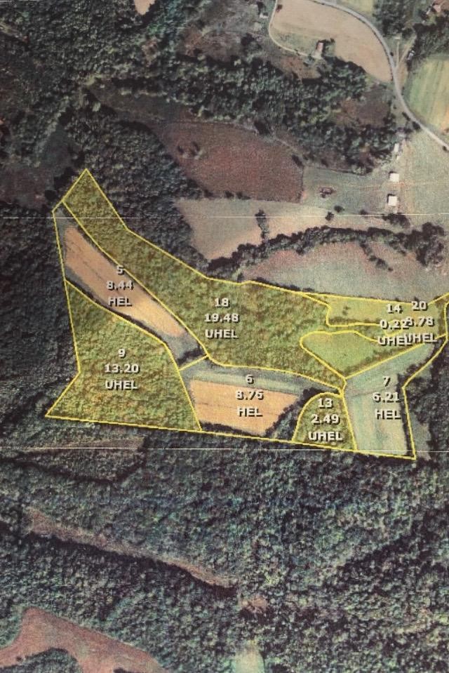 1137 Poplar Grove Road Westmoreland, TN 37186 - Photo 29 of 38 a view of a swimming pool with a yard