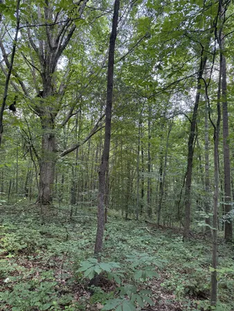 $620,000 | 1137 Poplar Grove Road, Westmoreland, TN 37186