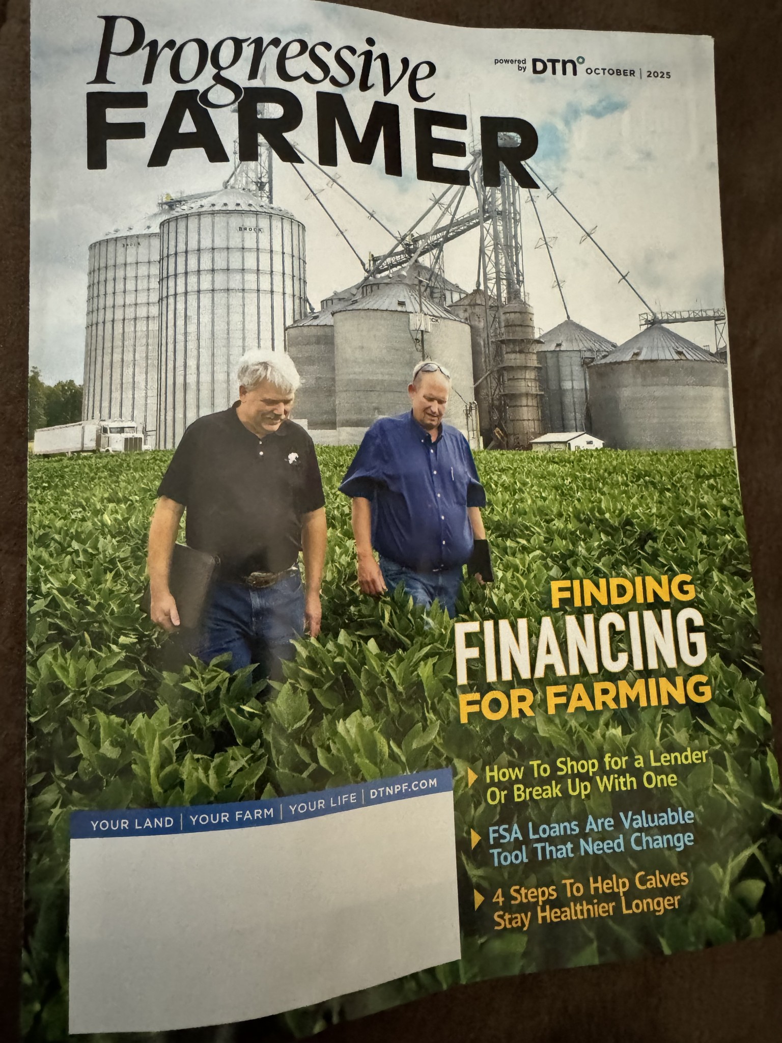 1137 Poplar Grove Road Westmoreland, TN 37186 - Photo 35 of 38 a view of a back yard of a house