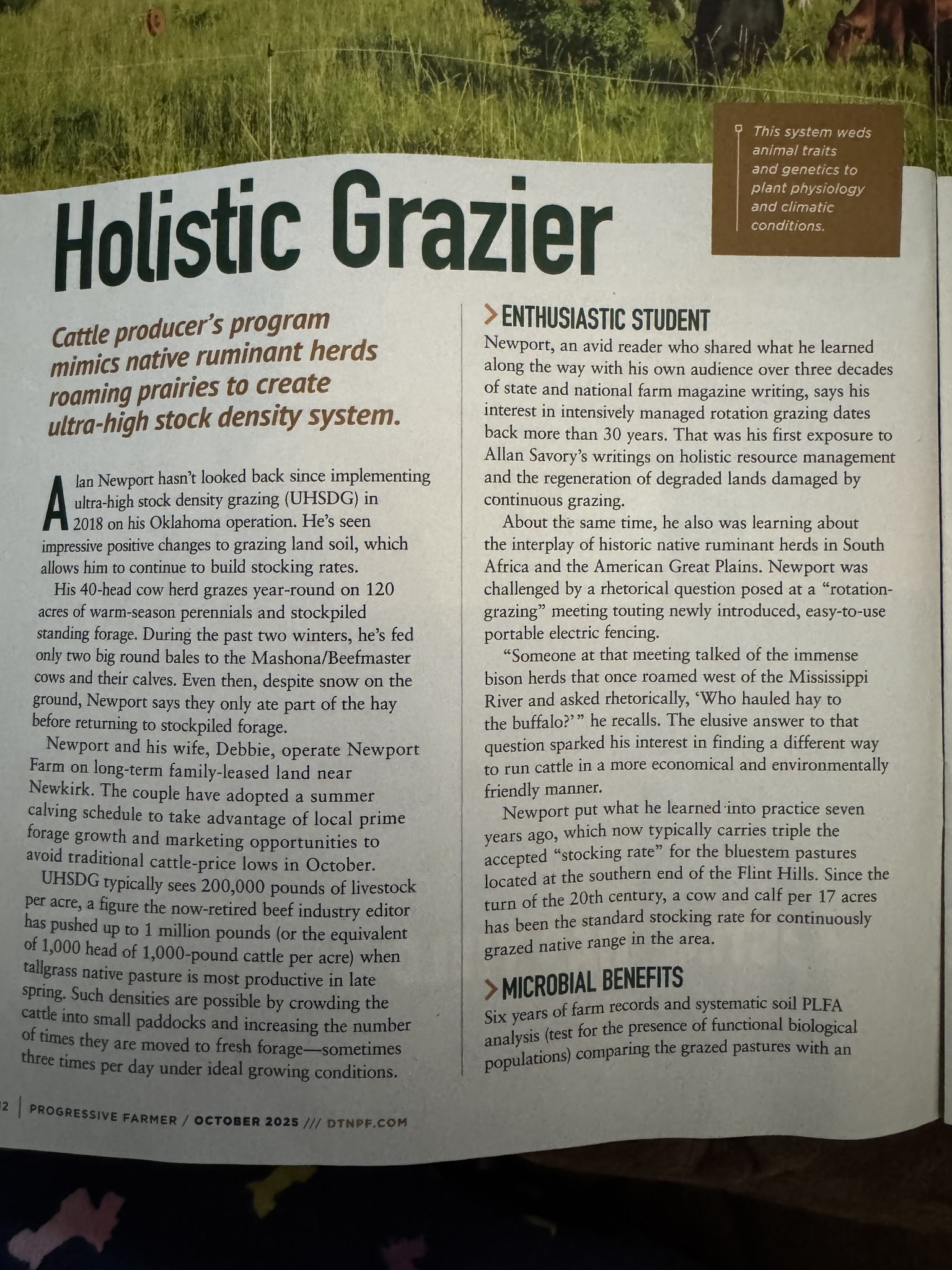 1137 Poplar Grove Road Westmoreland, TN 37186 - Photo 36 of 38