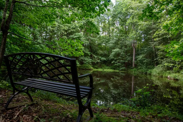 a view of a wooden bench and trees in the back yard
