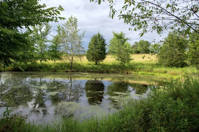 a view of lake with green space