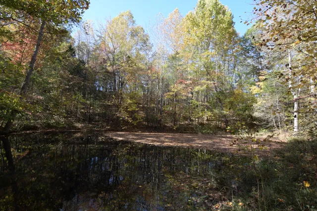 a view of outdoor space and yard