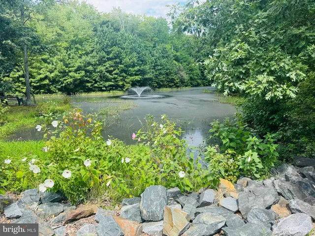 a view of a garden with a fountain