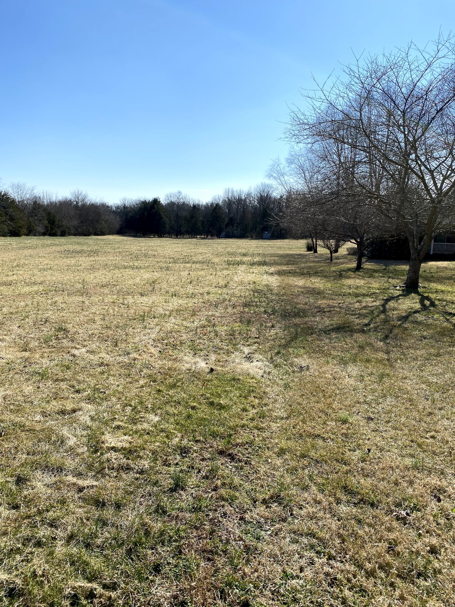 1881 Whitus Road Murfreesboro, TN 37128 - Photo 3 of 39 Gallery Image 3