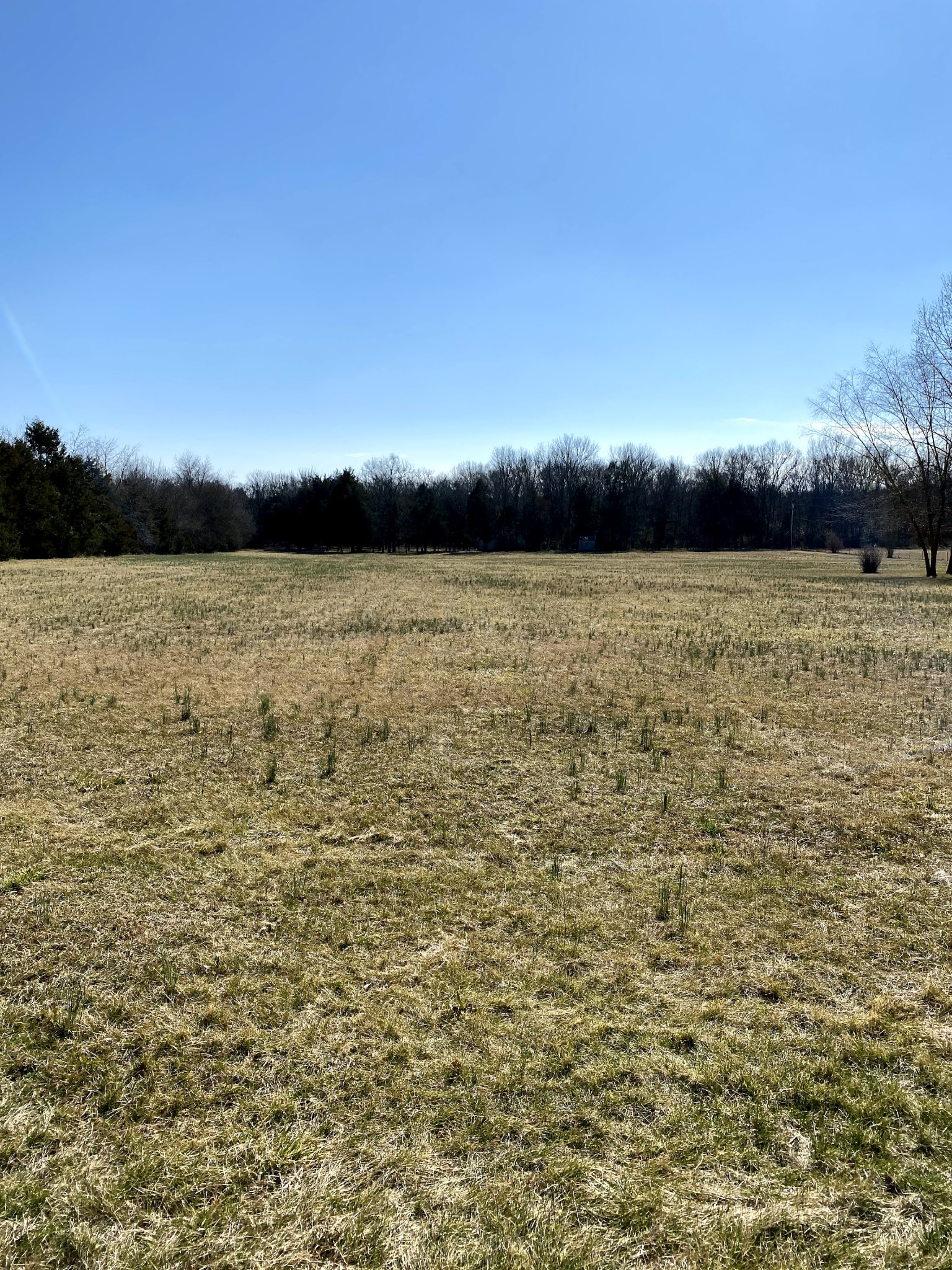 1881 Whitus Road Murfreesboro, TN 37128 - Photo 4 of 39 Gallery Image 4