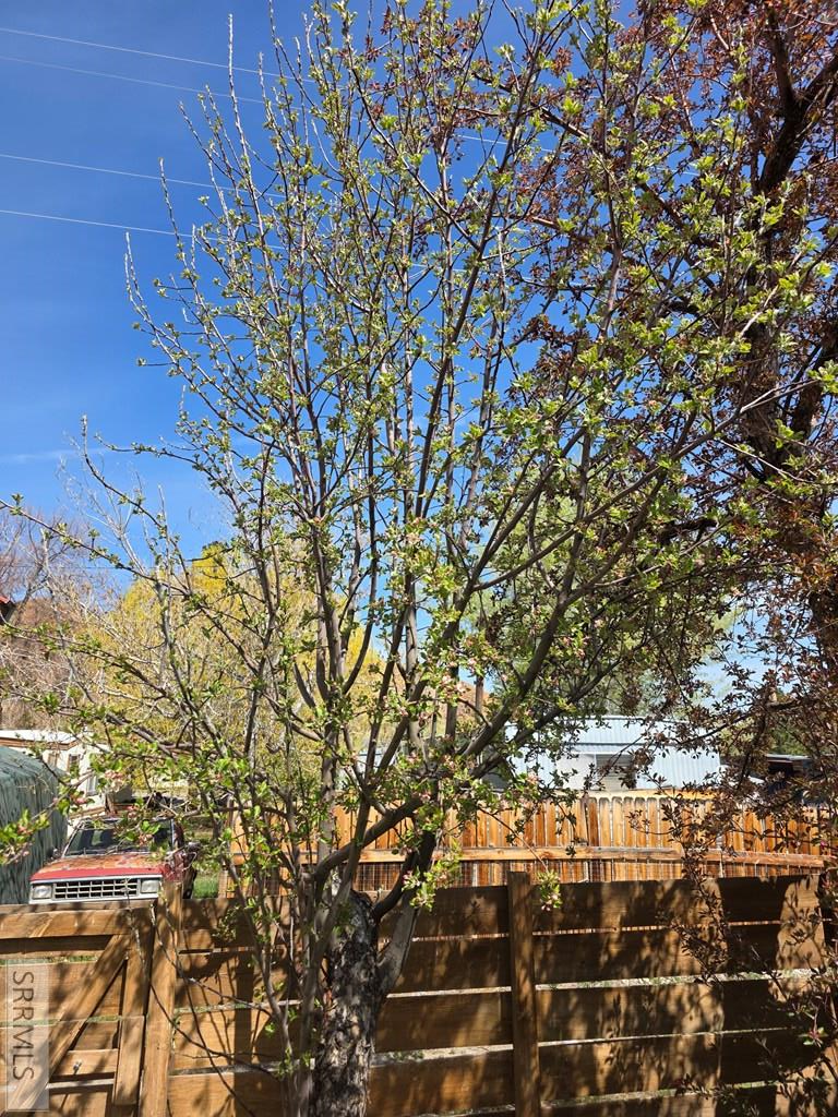 410 Butte Avenue Challis, ID 83226 - Photo 30 of 32