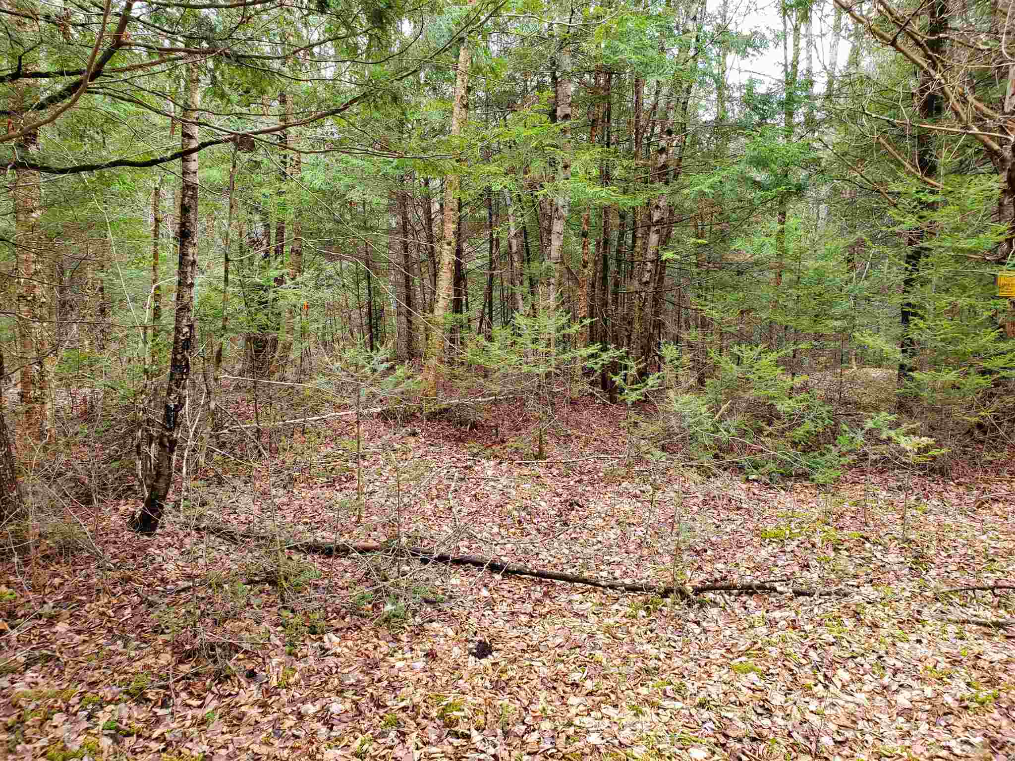671 Hilltop Road Littleton, NH 03561 - Photo 12 of 19