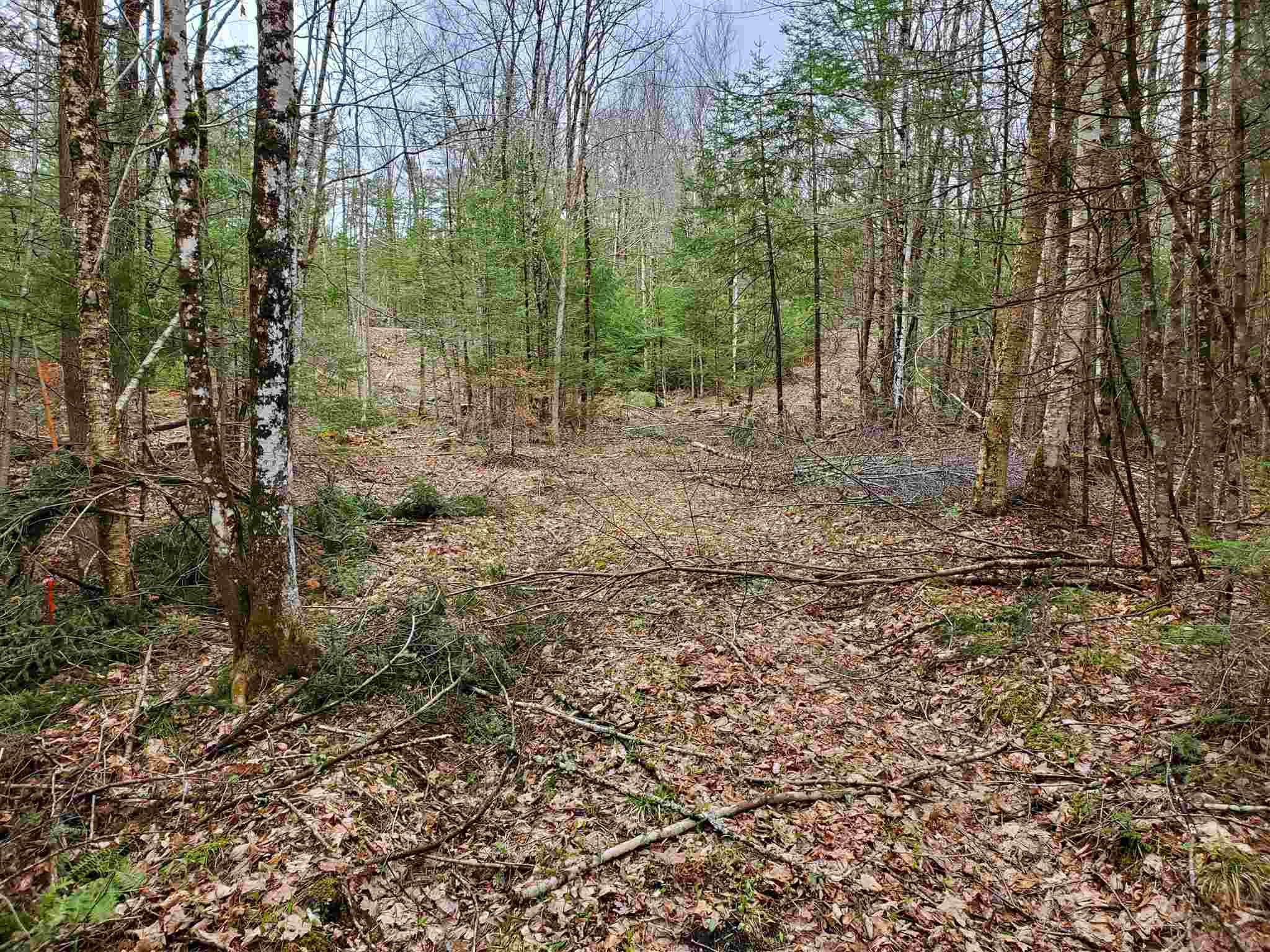 671 Hilltop Road Littleton, NH 03561 - Photo 13 of 19