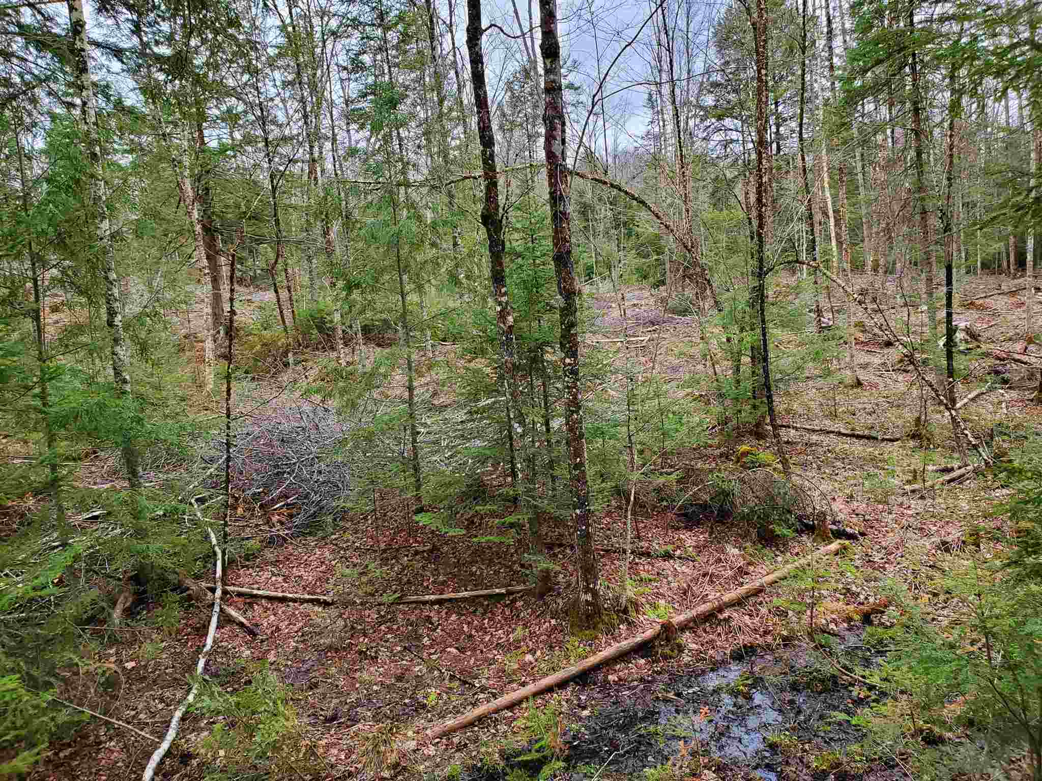 671 Hilltop Road Littleton, NH 03561 - Photo 15 of 19