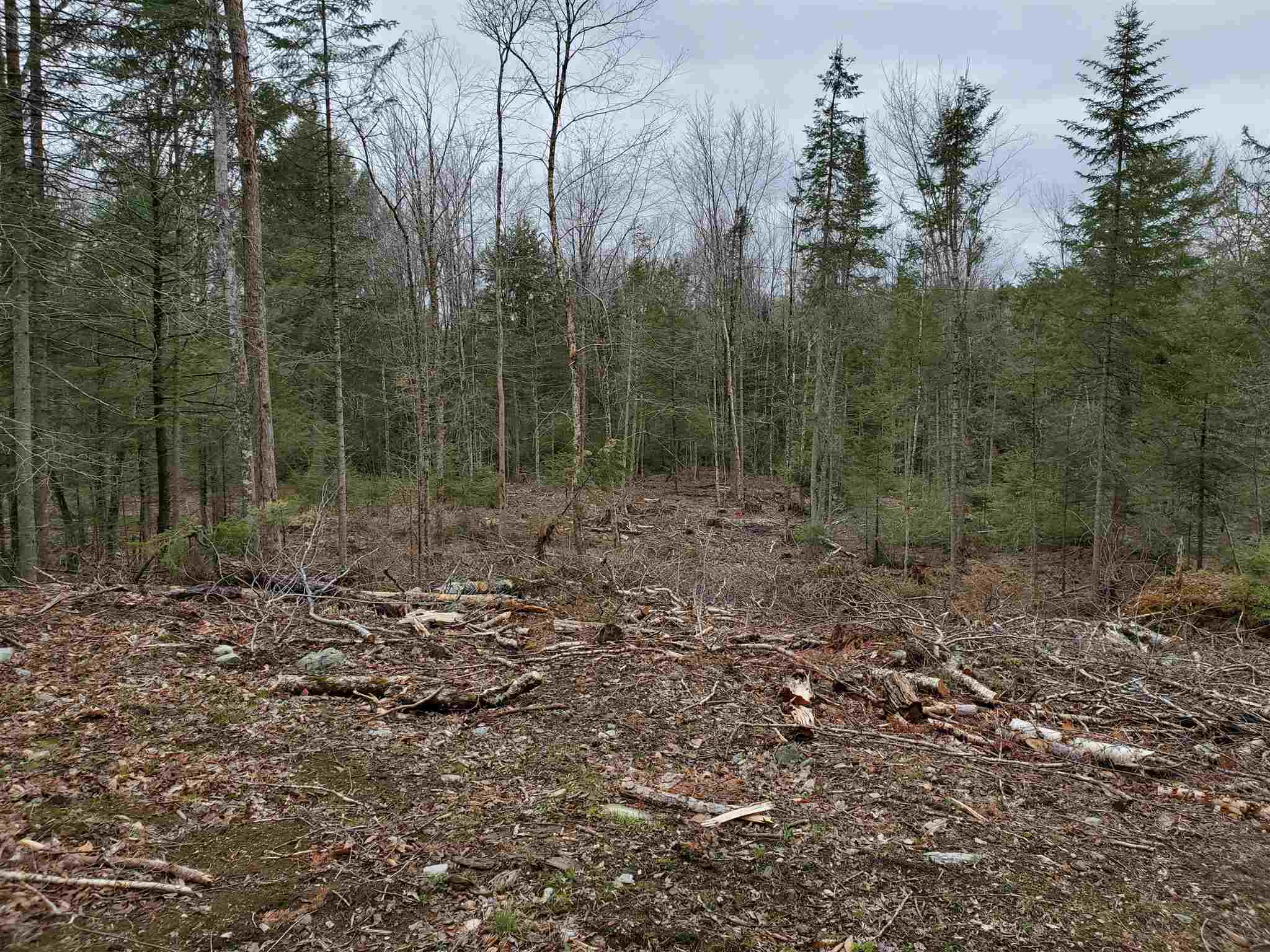 671 Hilltop Road Littleton, NH 03561 - Photo 16 of 19
