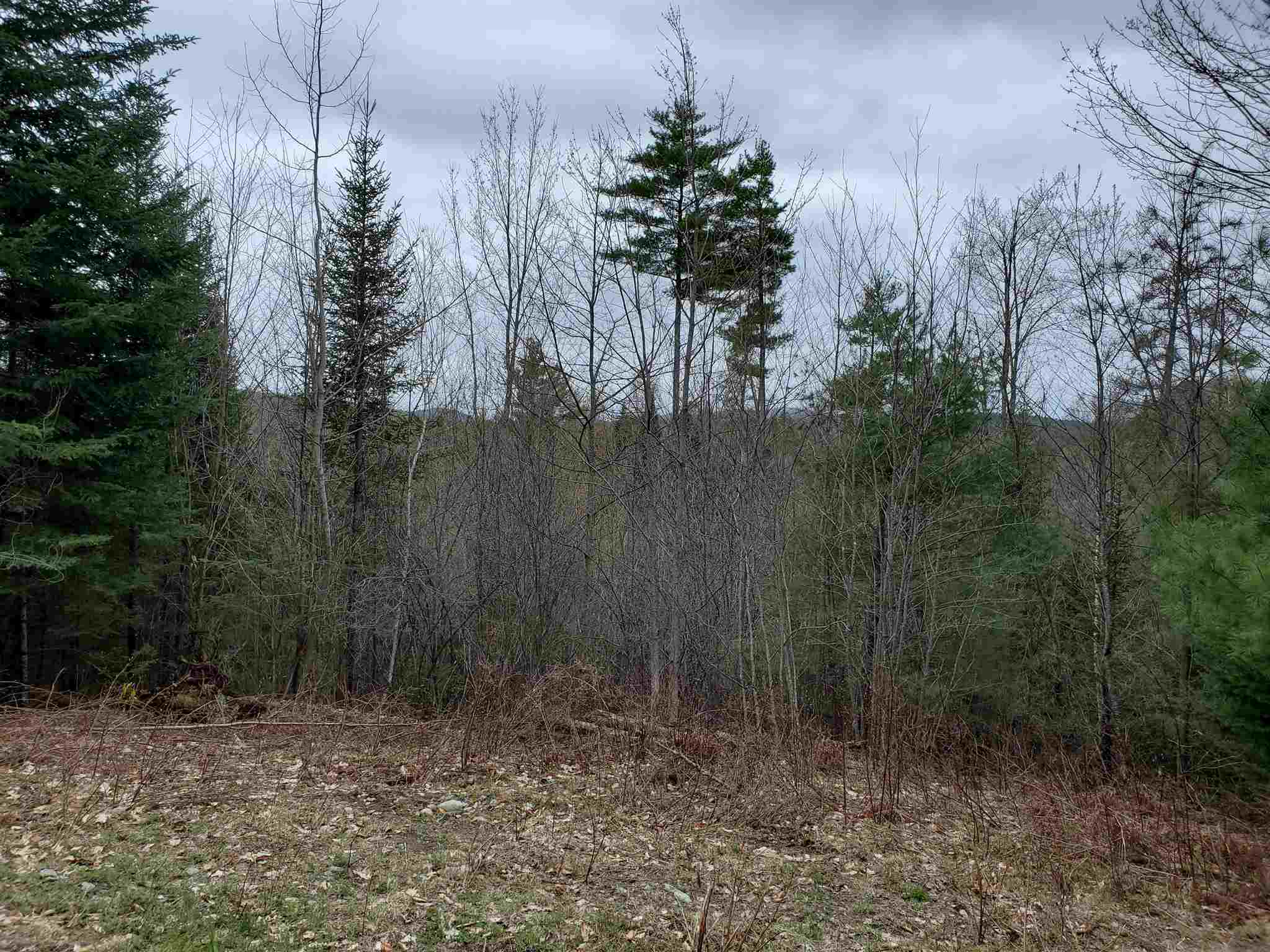 671 Hilltop Road Littleton, NH 03561 - Photo 5 of 19