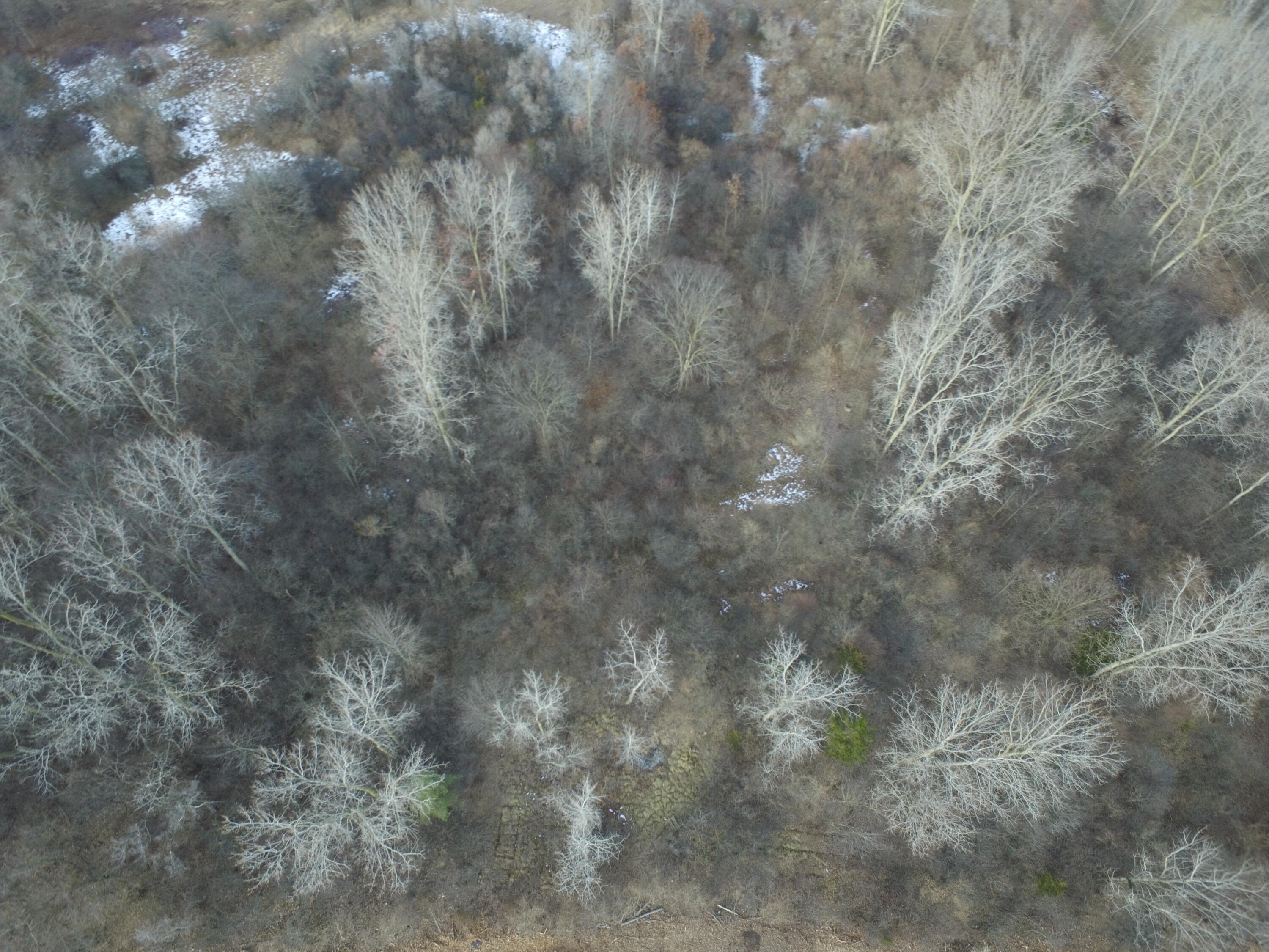 525 West Clark Road Ypsilanti, MI 48198 - Photo 11 of 21 DJI_0024