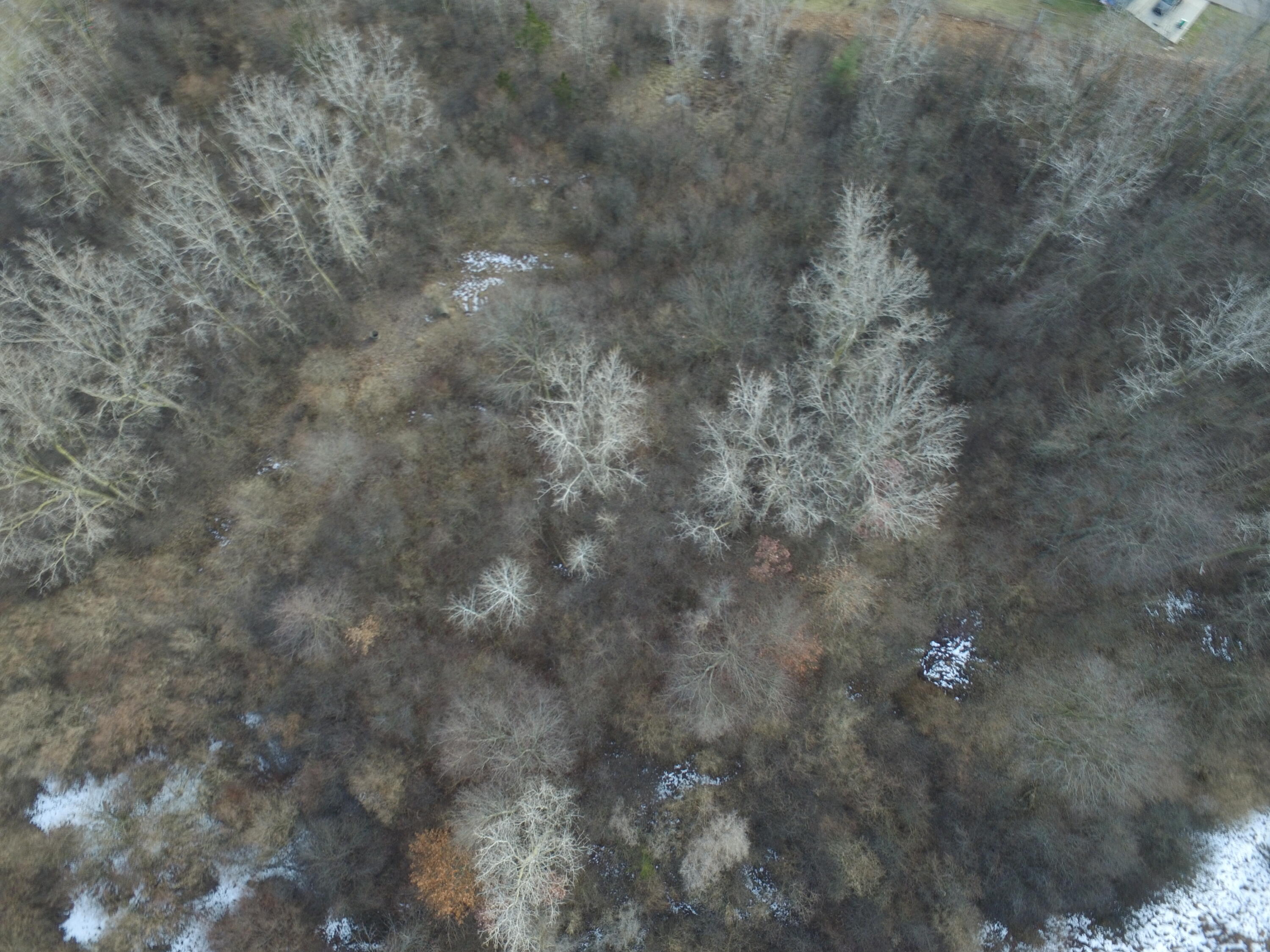 525 West Clark Road Ypsilanti, MI 48198 - Photo 9 of 21 DJI_0022