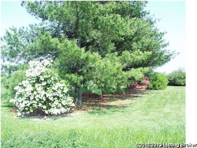 1398 Hill Spring Road Eminence, KY 40019 - Photo 18 of 20 Additional Photo