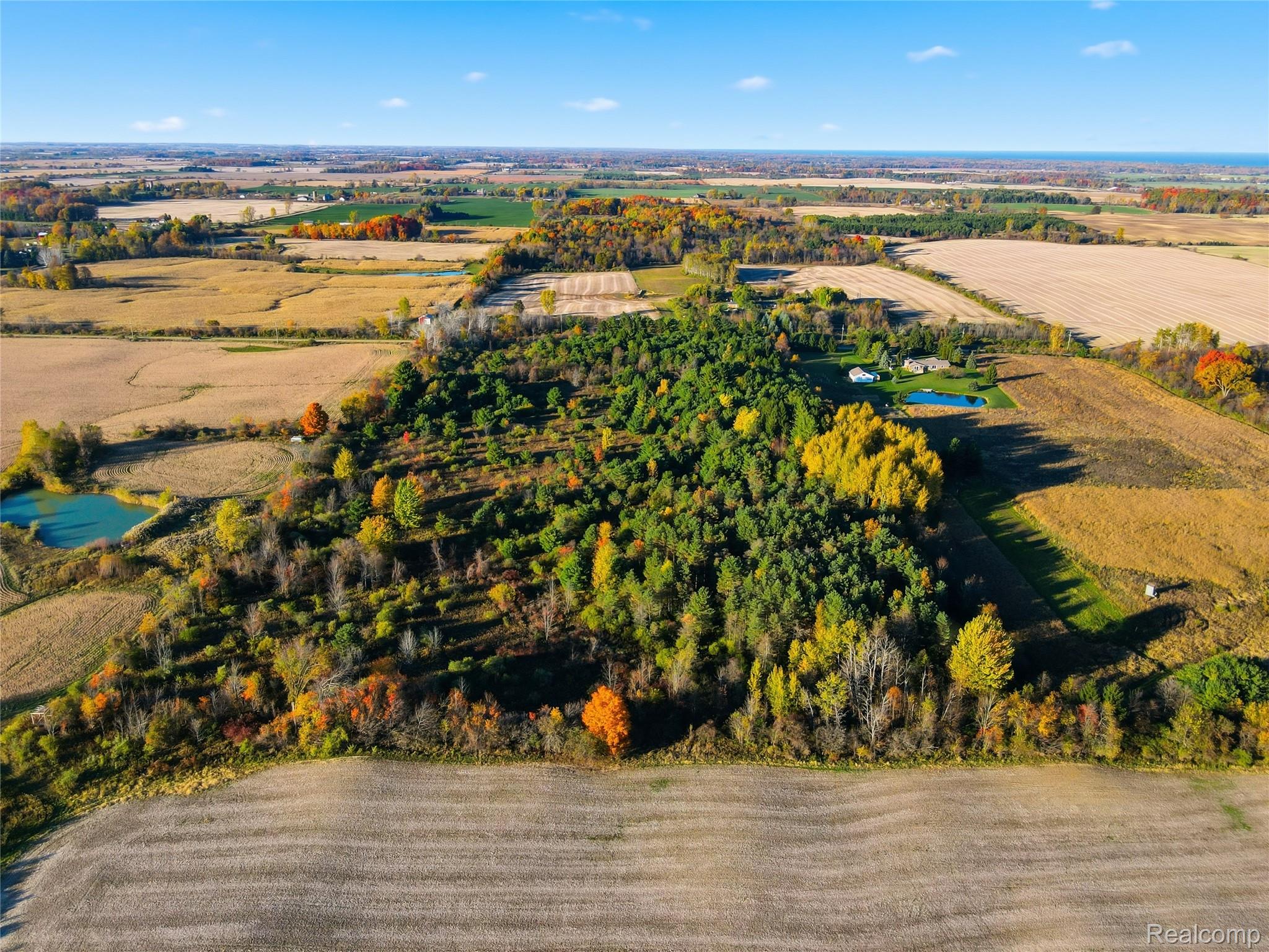 Tbd Walker Road Applegate, MI 48401 - Photo 1 of 4 02-DJI_0361.jpg