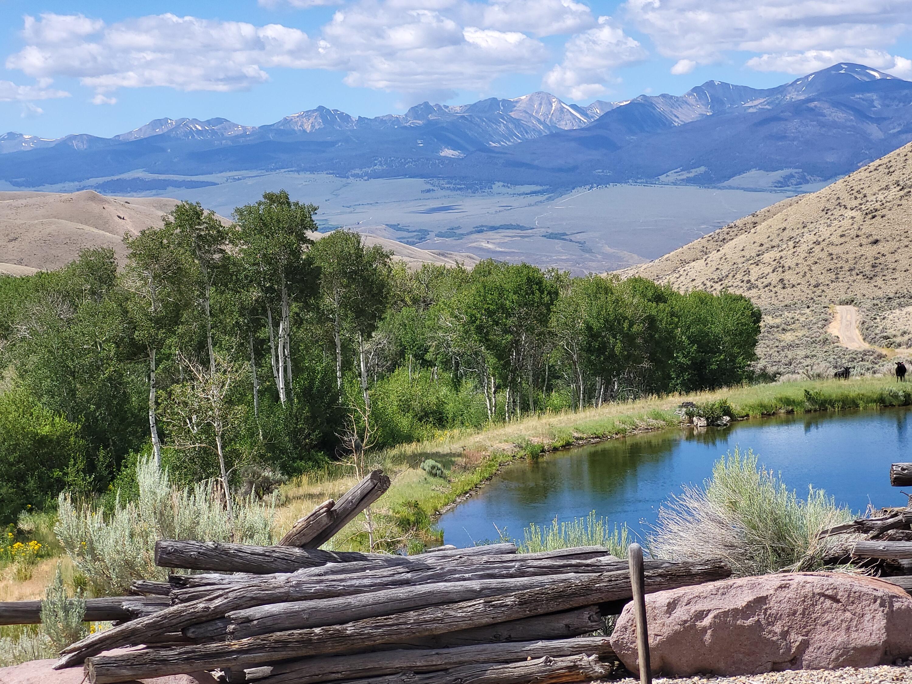 Lemhi Views