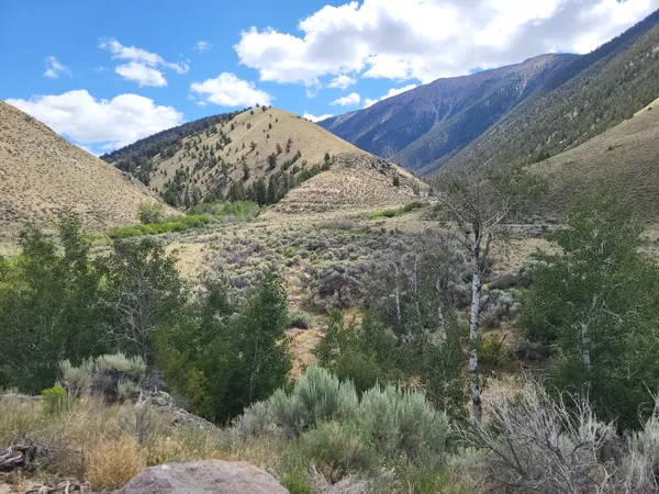 $2,185,000 | 451 Peterson Creek Road, Leadore, ID 83464
