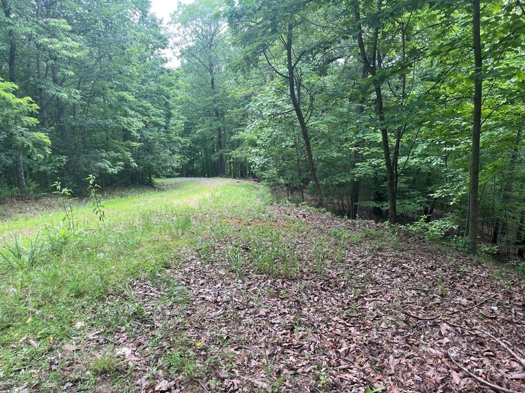 Lot 49 Burger Road Murphy, NC 28906 - Photo 4 of 7