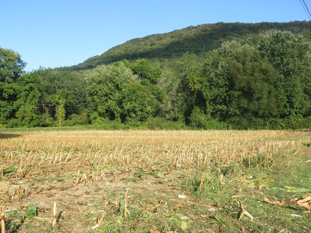 2 A Old Mountain Road Hadley, MA 01035 - Photo 2 of 4 a view of an outdoor space and a yard