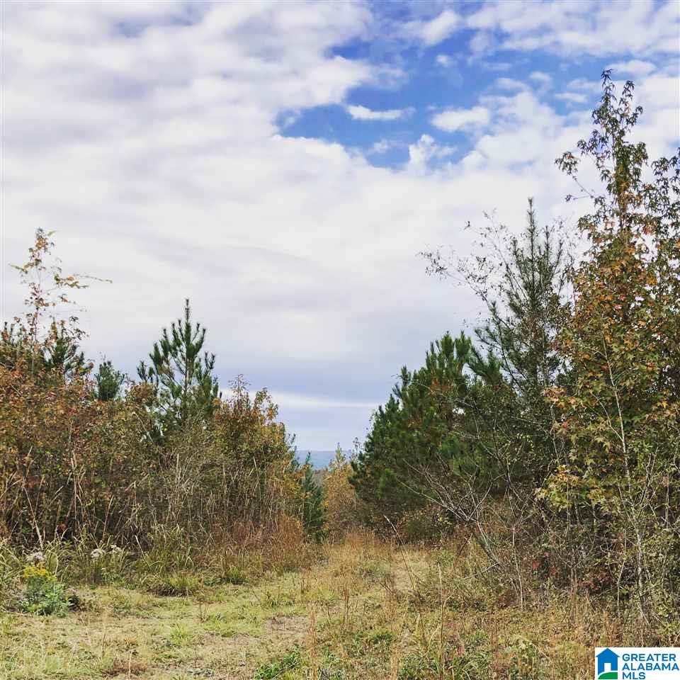 8967 Highway 55, Unit 2 & 3 Sterrett, AL 35147 - Photo 20 of 23