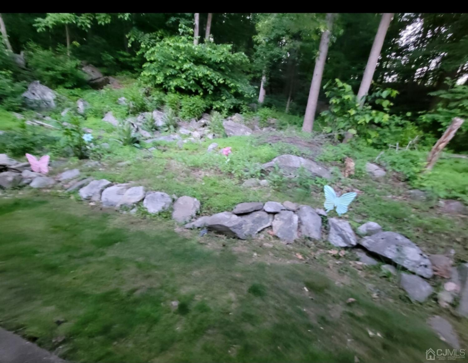 40 Emmans Road Ledgewood, NJ 07852 - Photo 20 of 24 a backyard of a house with lots of green space