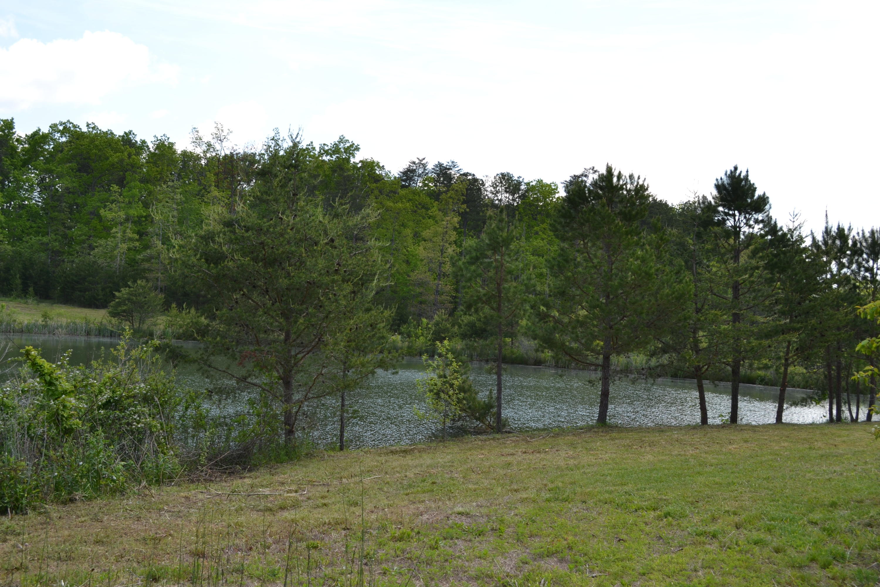 Rolling Meadows Road Grimsley, TN 38565 - Photo 2 of 26 DSC_1015