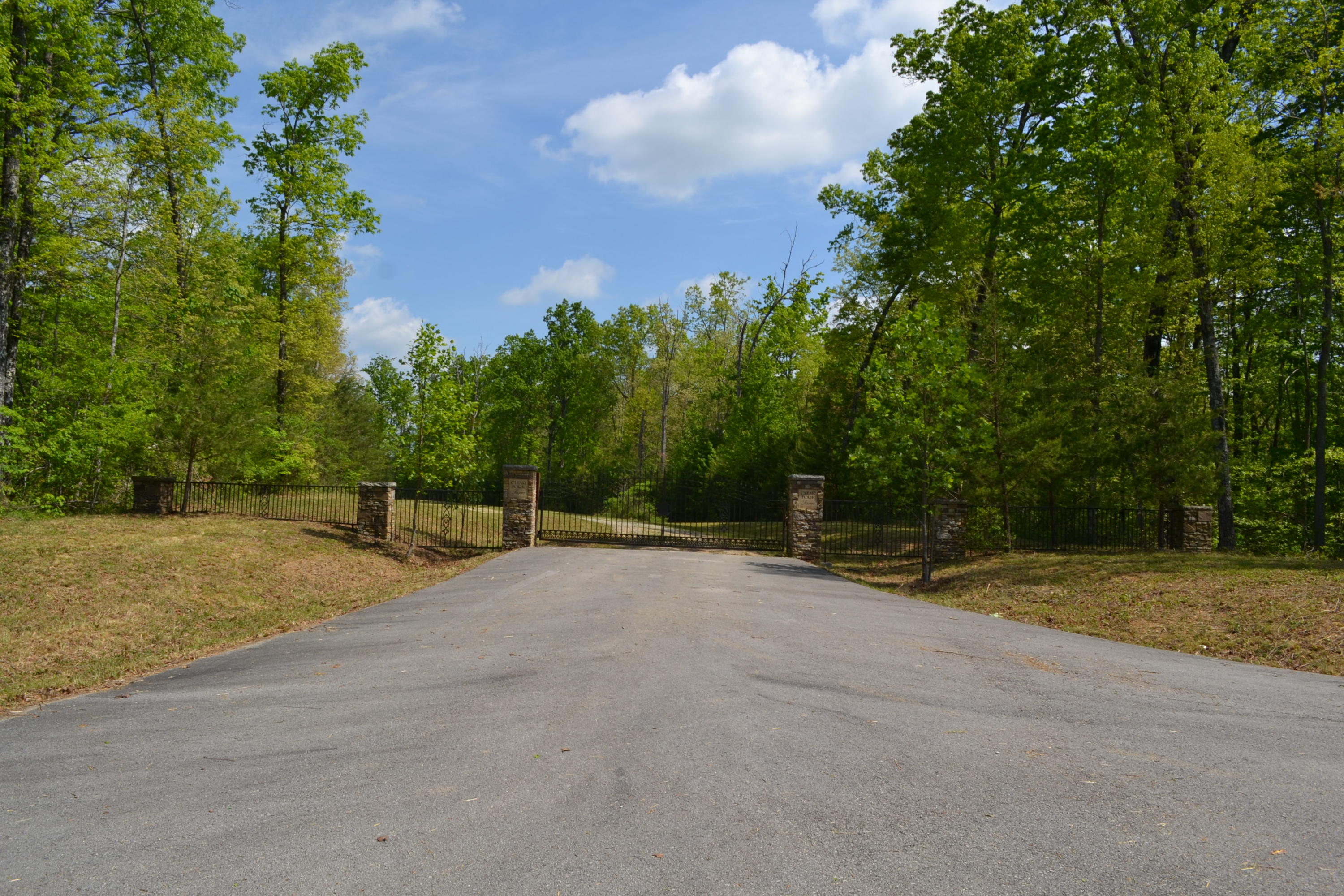 Rolling Meadows Road Grimsley, TN 38565 - Photo 11 of 26 DSC_0014