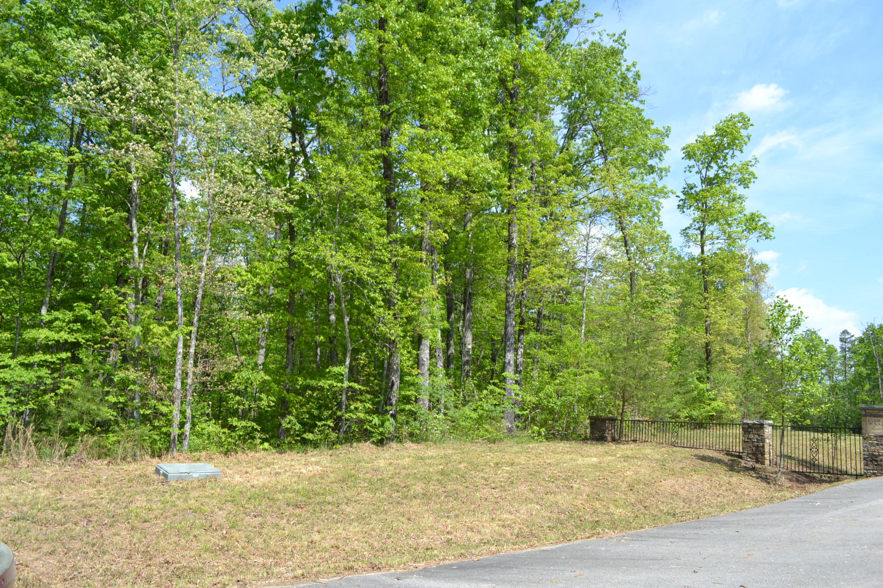 Rolling Meadows Road Grimsley, TN 38565 - Photo 14 of 26 DSC_0011