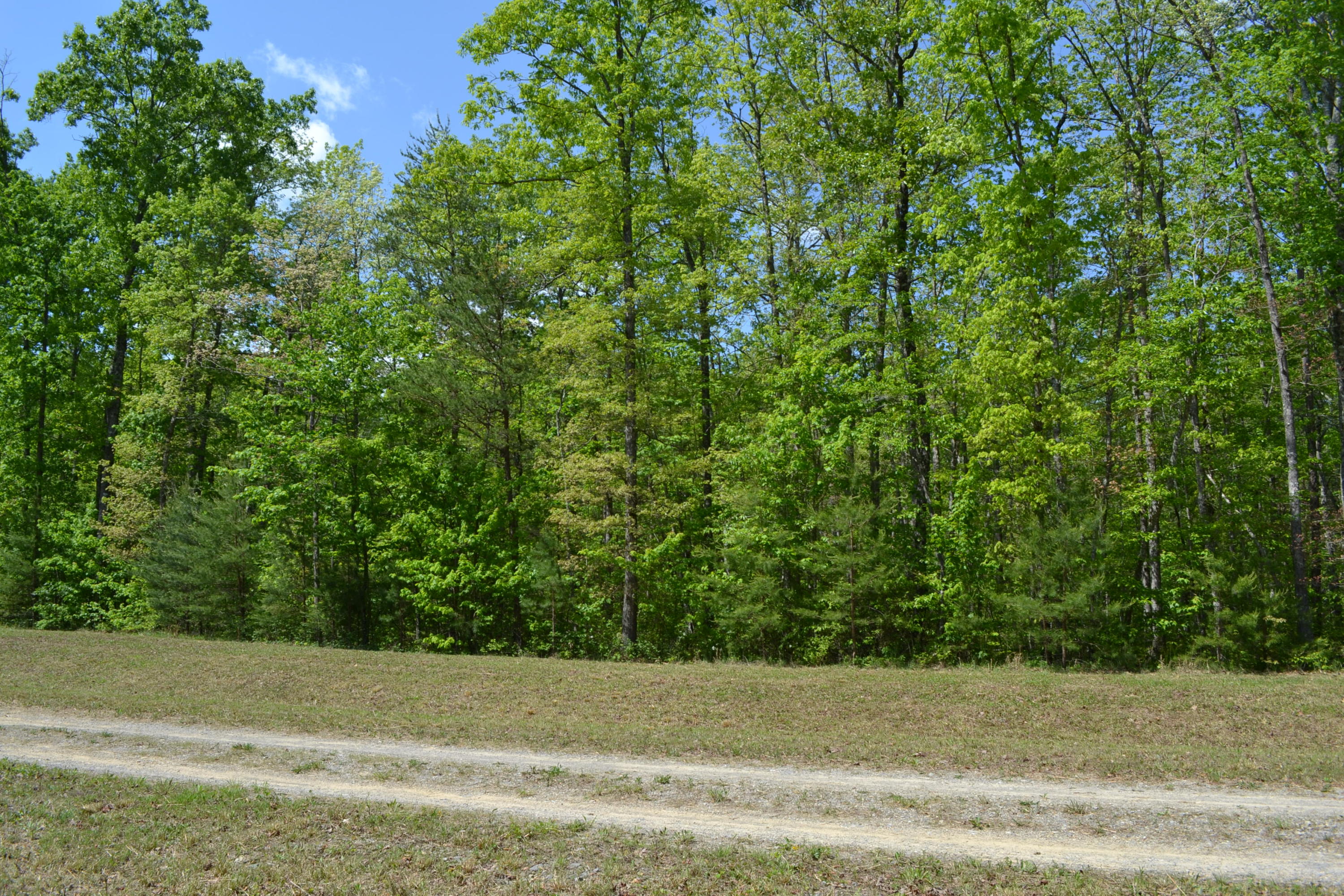 Rolling Meadows Road Grimsley, TN 38565 - Photo 16 of 26 DSC_0004