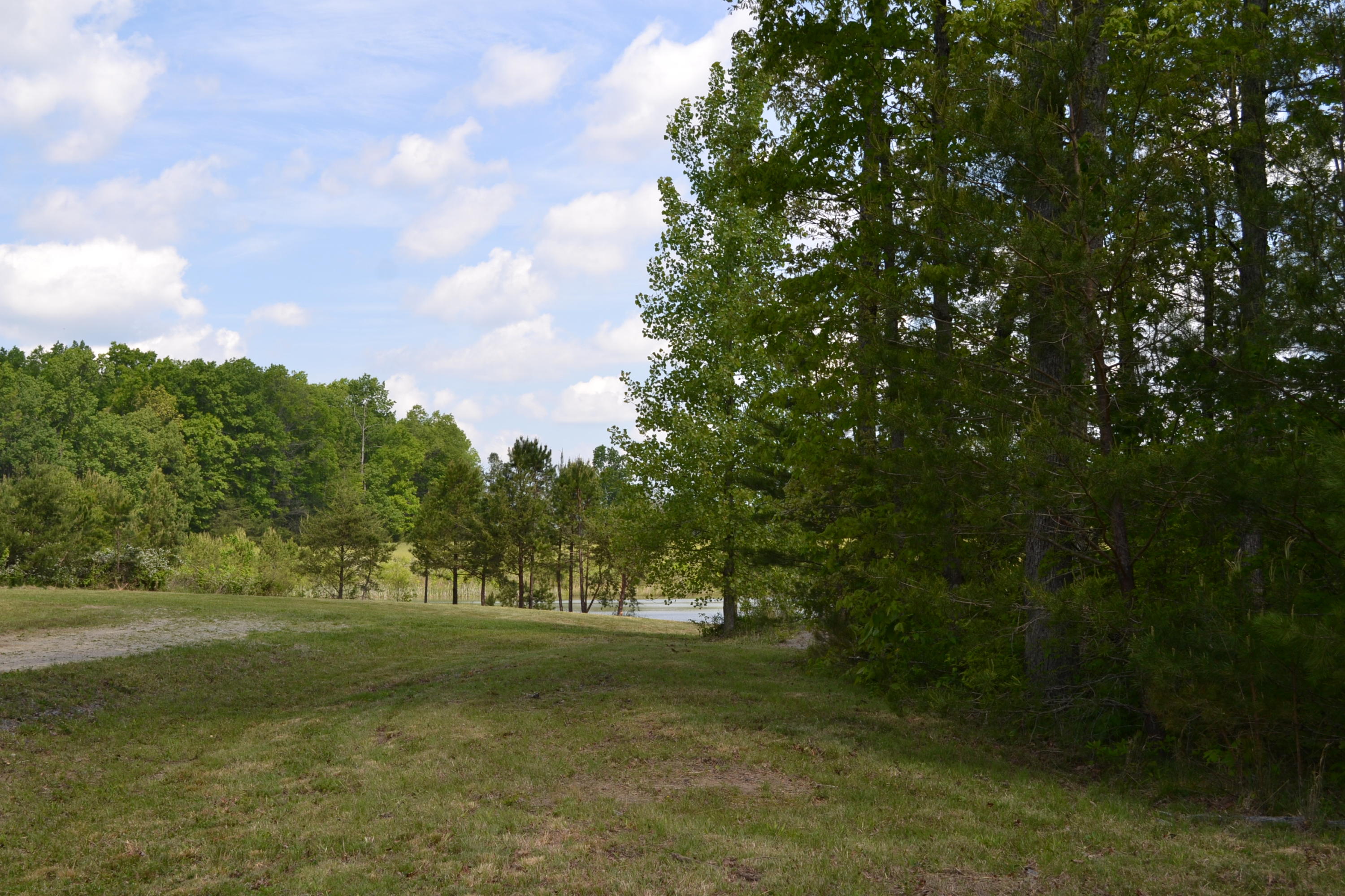 Rolling Meadows Road Grimsley, TN 38565 - Photo 17 of 26 DSC_0003